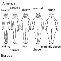 Body standards in Europe and America – meme