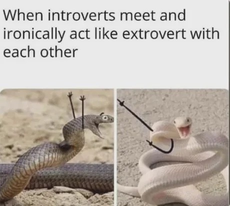 Introverts around introverts – meme