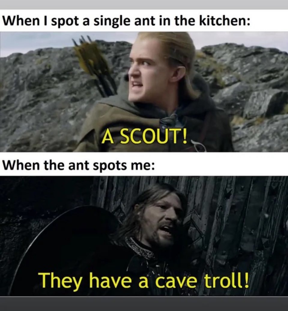 I kinda like being thought of as a cave troll – meme