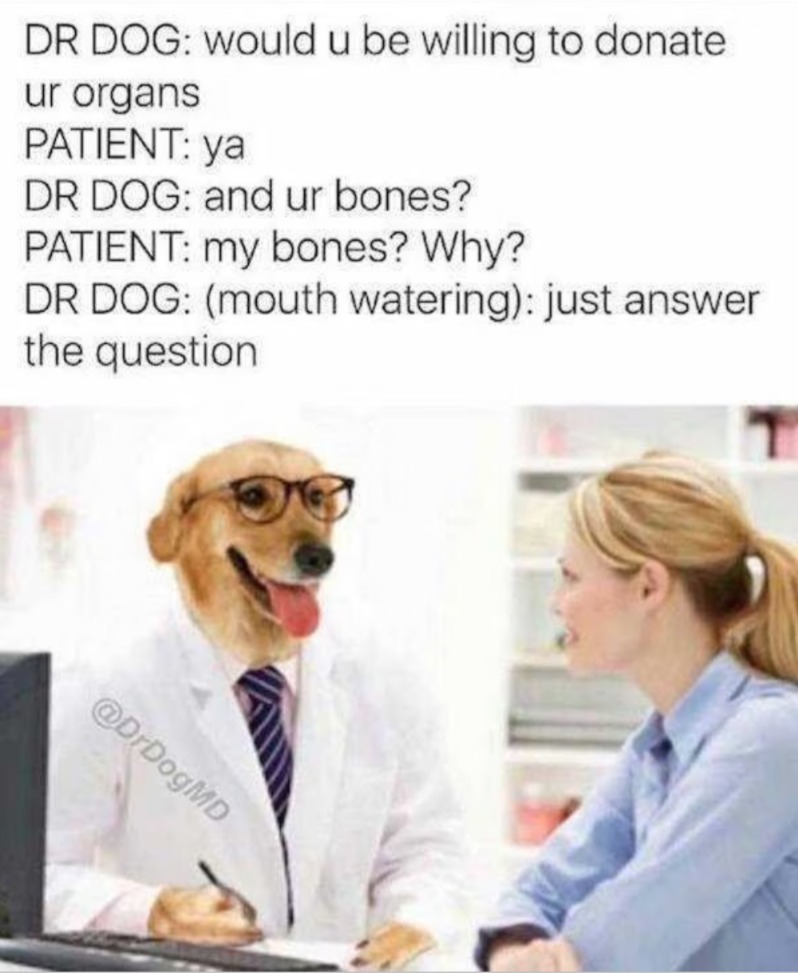 Dr. Dog – meme