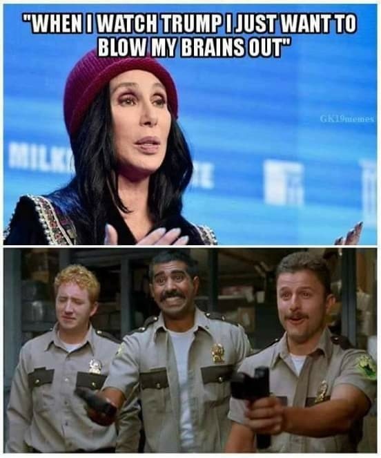 Cher – meme