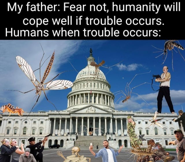 Fear not – meme