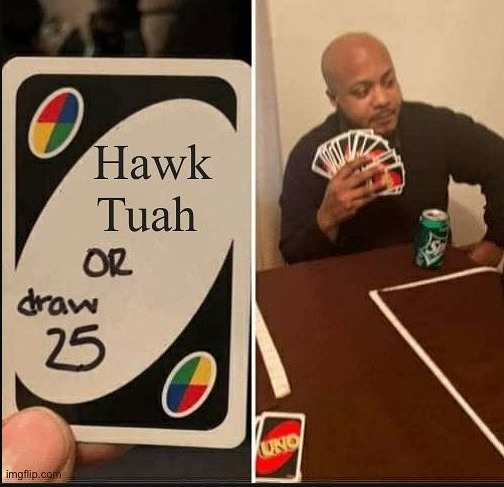 hawk 25 – meme