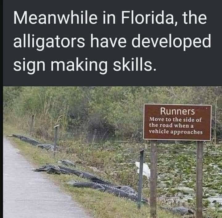 Only in Florida…. – meme