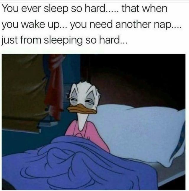 I always sleep hard – meme