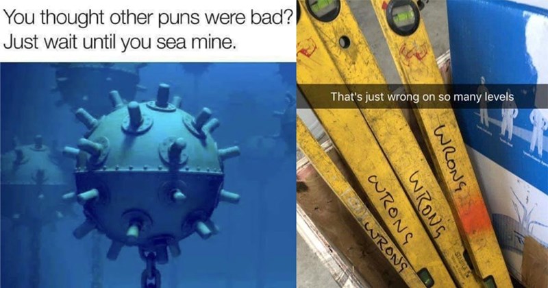 30 Full-Groan Pun Memes