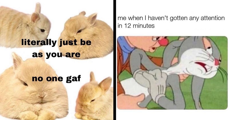 20 Funny Bunny Memes Hopping Through the Forest, Scooping up the Field Mice and Bopping Them on the Head