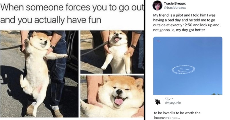 The Best Heartwarmingly Wholesome Memes and Posts of the Week (June 13, 2024)