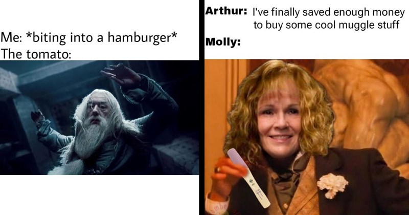 The Best Harry Potter Memes of the Week (June 26, 2024)