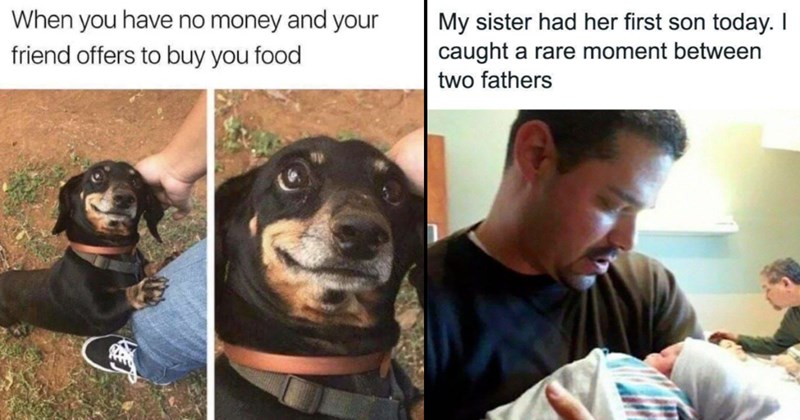 The Best Heartwarmingly Wholesome Memes and Posts of the Week (June 27, 2024)