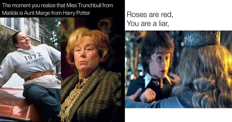 The Funniest Harry Potter Memes of the Week (June 19, 2024)