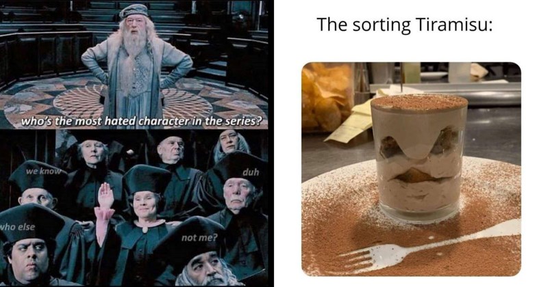 The Best Harry Potter Memes of the Week (June 12, 2024)