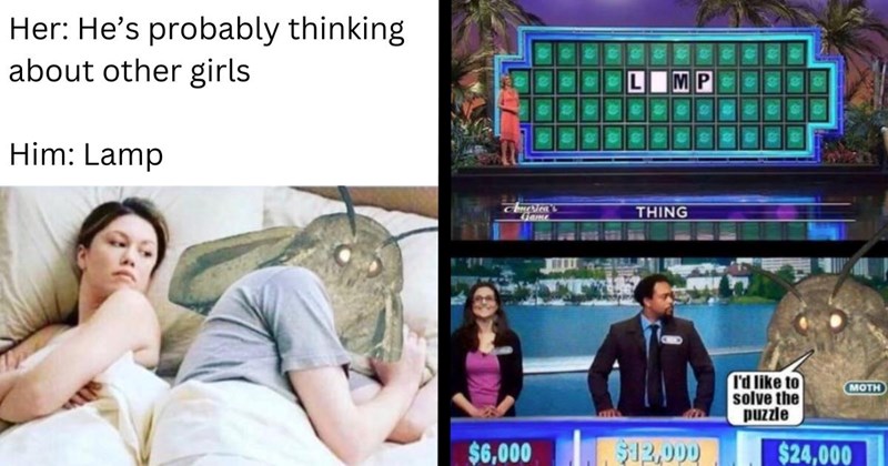 A Fresh Dusting of 26 Lamp-Loving Moth Memes to Light the Way