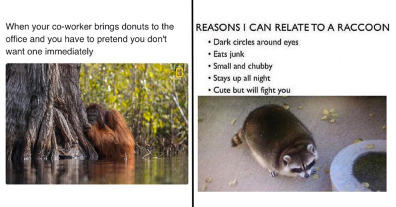 28 Memes to Make Your Sunday Rot Delightfully Entertaining