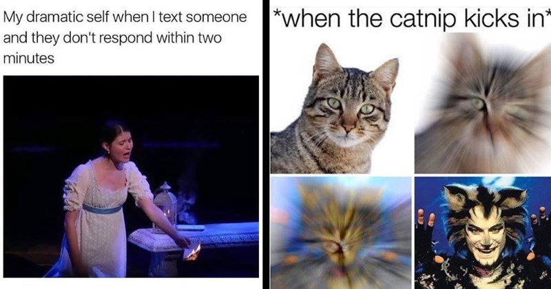 25 Broadway Musical Memes For Counting Down to the Tony Awards