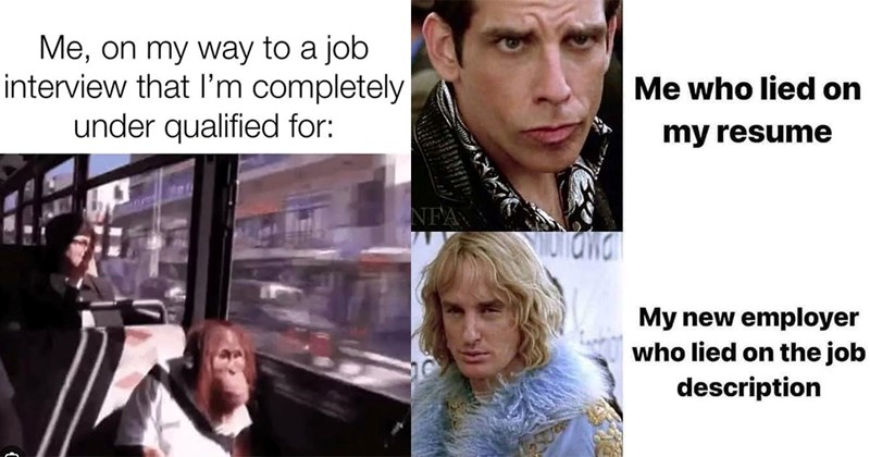 30+ Job Search Memes on Their Hundredth Round of Interviews