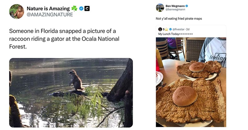 35+ of the Freshest and Funniest Tweets of the Week (June 1, 2024)