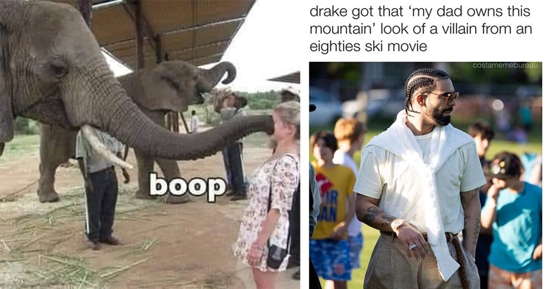 30+ Memes That Will Leave You Wanting More