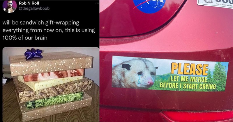 33 Memes That Ignite the Senses