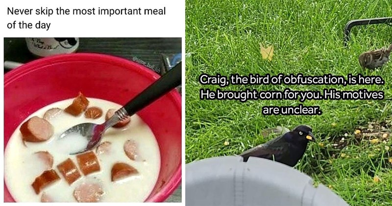 34 Memes for People With Taste