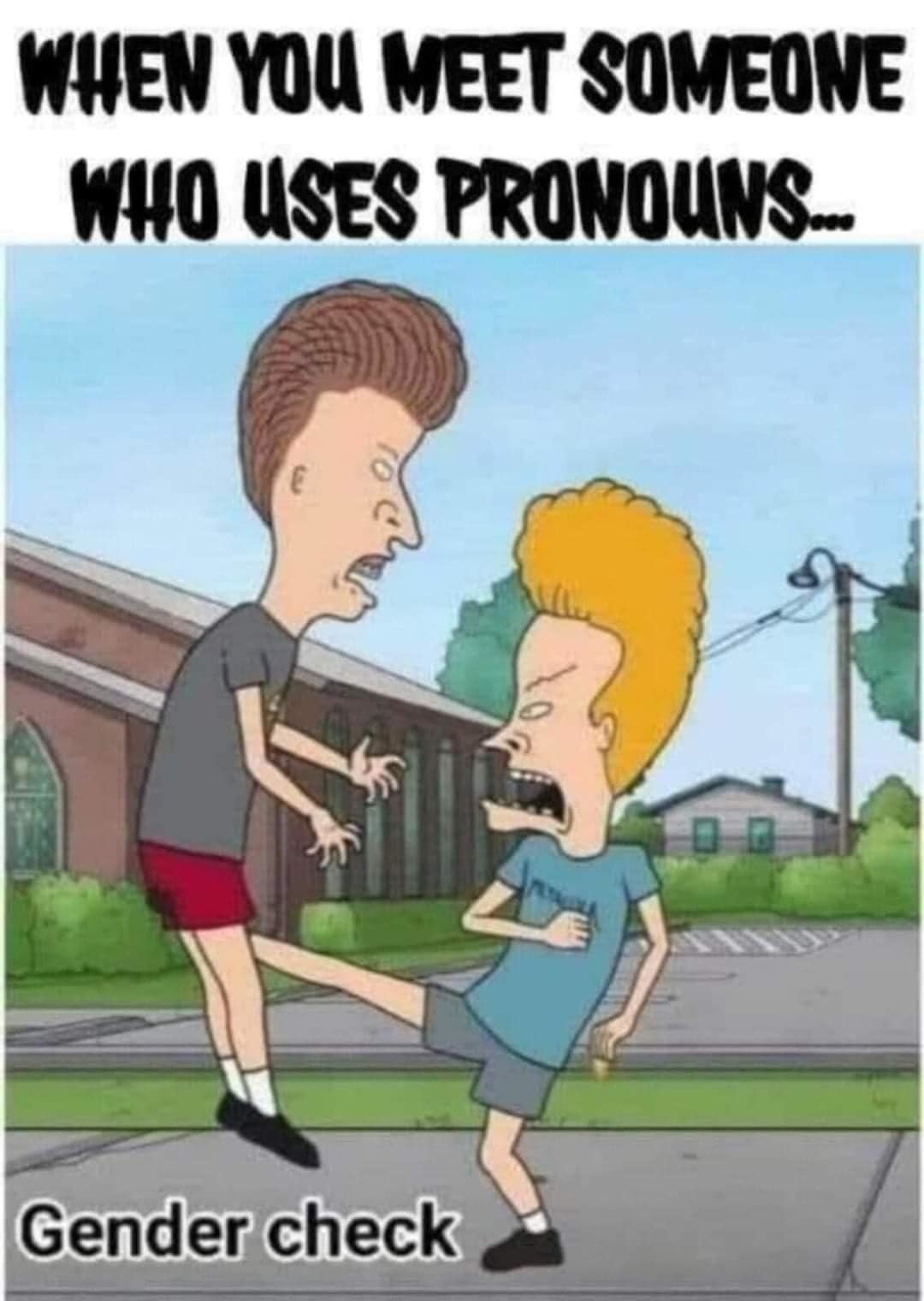 Pronouns – meme