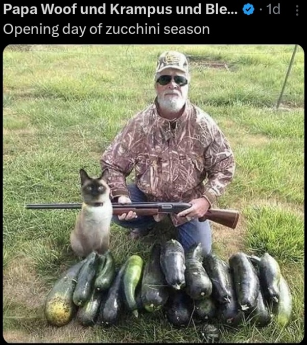 Cats would be great hunting assistants… if they cared – meme