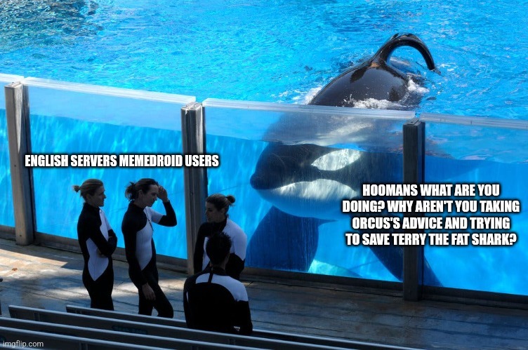 Terry has been missing on Wednesday because he was kidnapped by the narc dolphins. If the word isn’t spread, we might never see terry and his thoughtful gifts again – meme