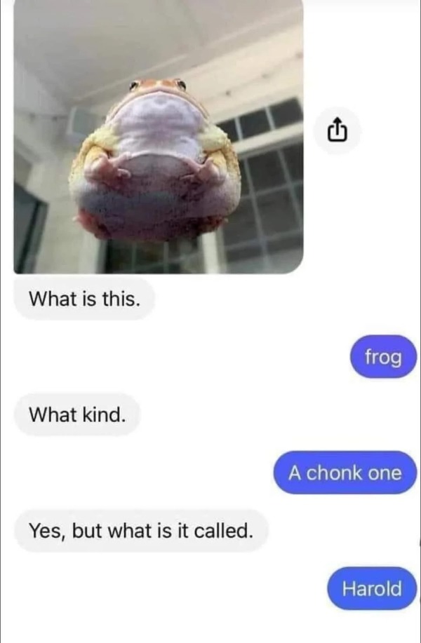 Chonky boi – meme