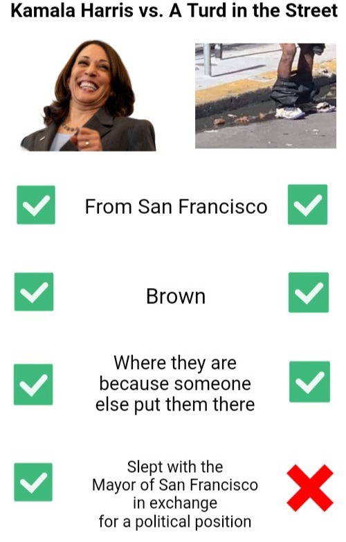 Technically, Willie Brown was the Speaker of the California Assembly when Kamala was his side-girl – meme