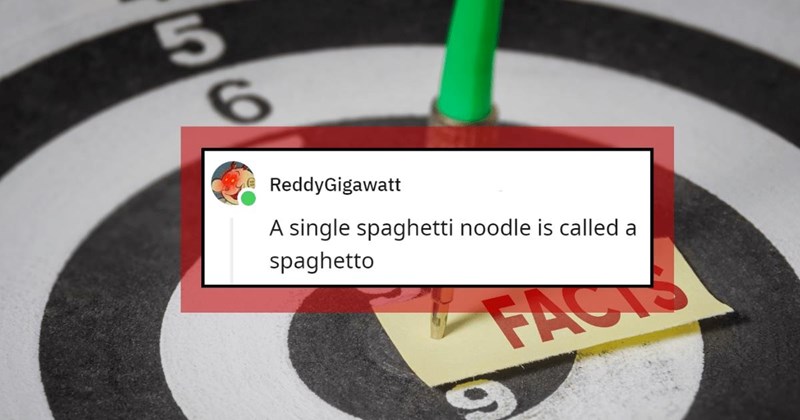 Redditors Reveal Random Facts You Didn’t Need, but Now You Can’t Forget