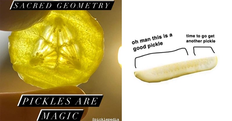 27 Pickle Memes That Are a Huge Dill