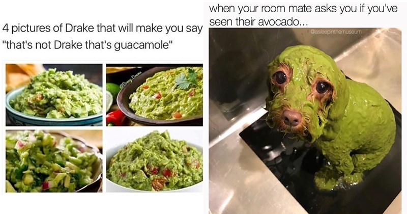 27 Guacamole Memes That Know They Are Extra and Act Like It