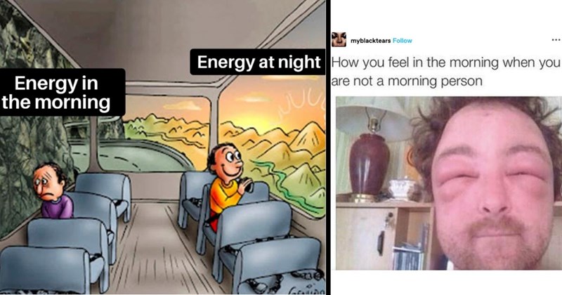 30 Relatable Memes Night Owls Can Tuck Into Bed While They Brave the Morning