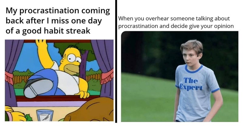 25+ Relatable Procrastination Memes That You Can Take a Look at Tomorrow