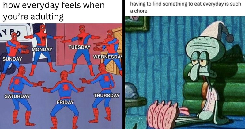 31 Cartoon Memes for Adulting Adults Aboard the Struggle Bus