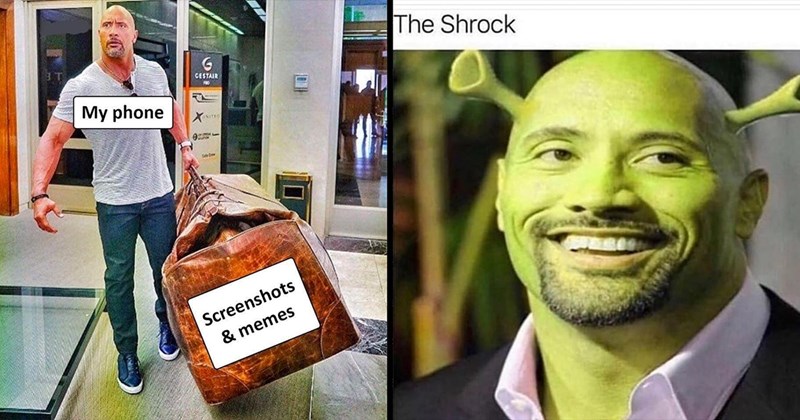 20+ Dwayne ‘the Rock’ Memes Johnson for Your Funniest Friends Who Rock