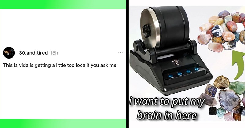 23 Witty Memes to Make Your Therapist Laugh At Your Kind of Humor (August 9, 2024)