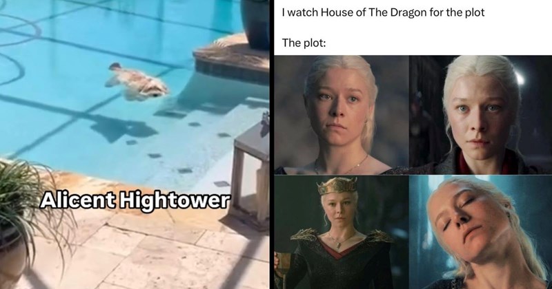 25 House of the Dragon Memes for a Fiery Dose of Dragon-Sized Laughter