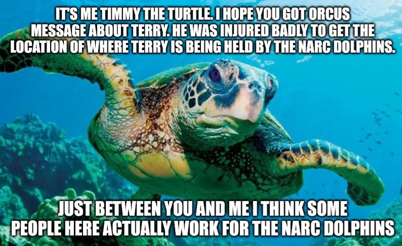 Lets go save terry – meme