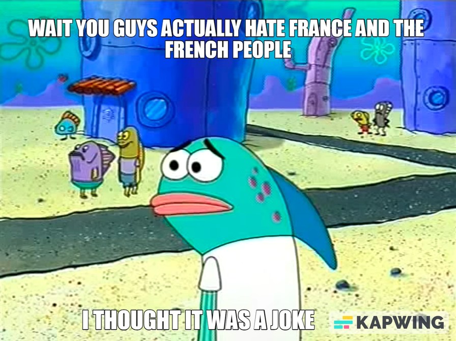 France meme