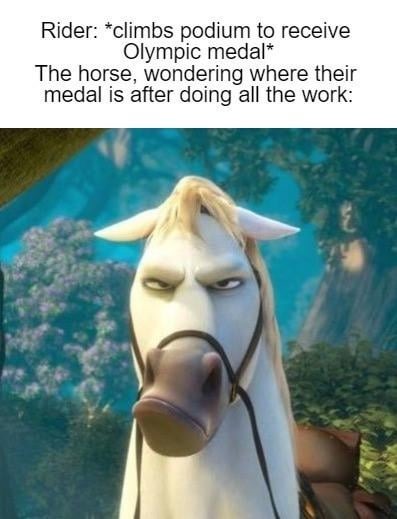 Olympics horses – meme