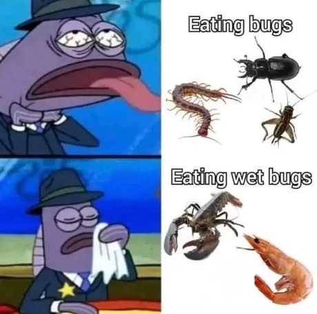 wet bugs – meme