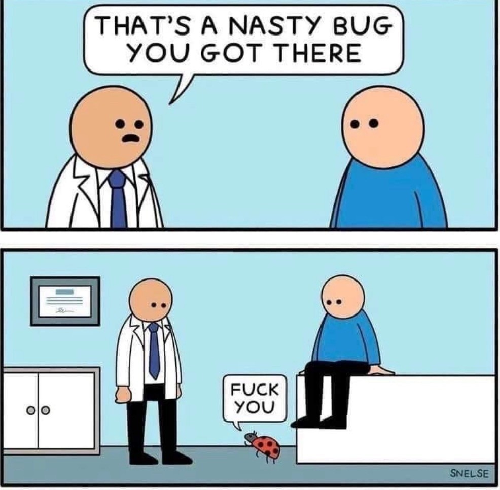 Nasty bug – meme