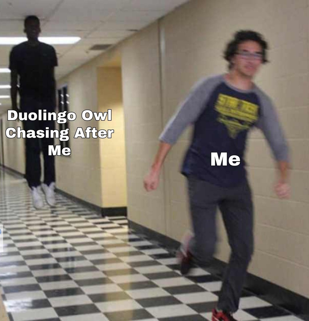 Duolingo owl is chasing me – meme