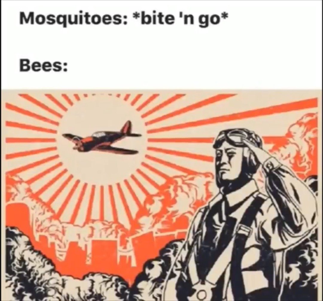 Kamilaze bees – meme