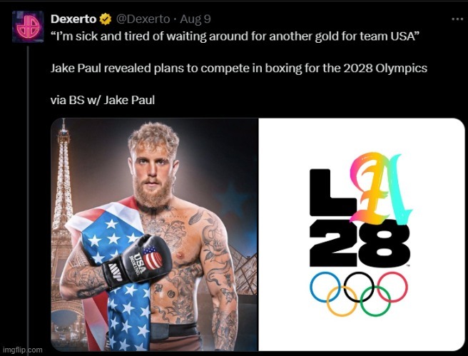 Jake Paul LA 2028 Olympics – meme