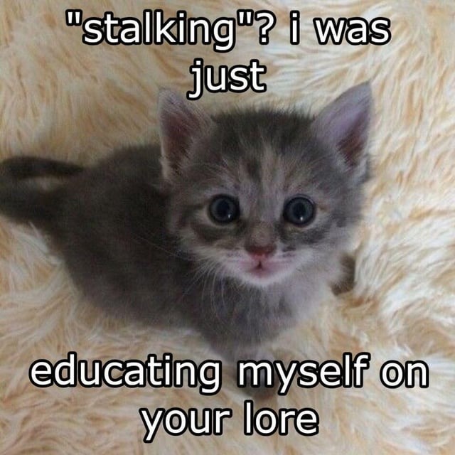 Stalking meme