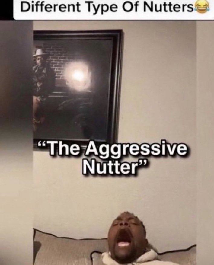 The agressive nutter meme