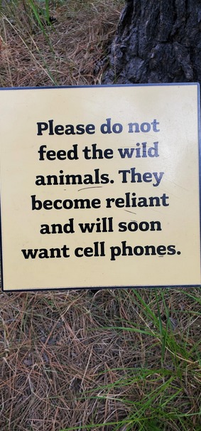 Feeding wildlife will turn them into teenagers – meme