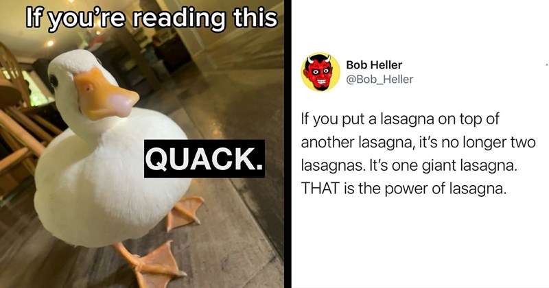 A Freezer Full of the Funniest Random Memes That Will Definitely Help You Break the Ice